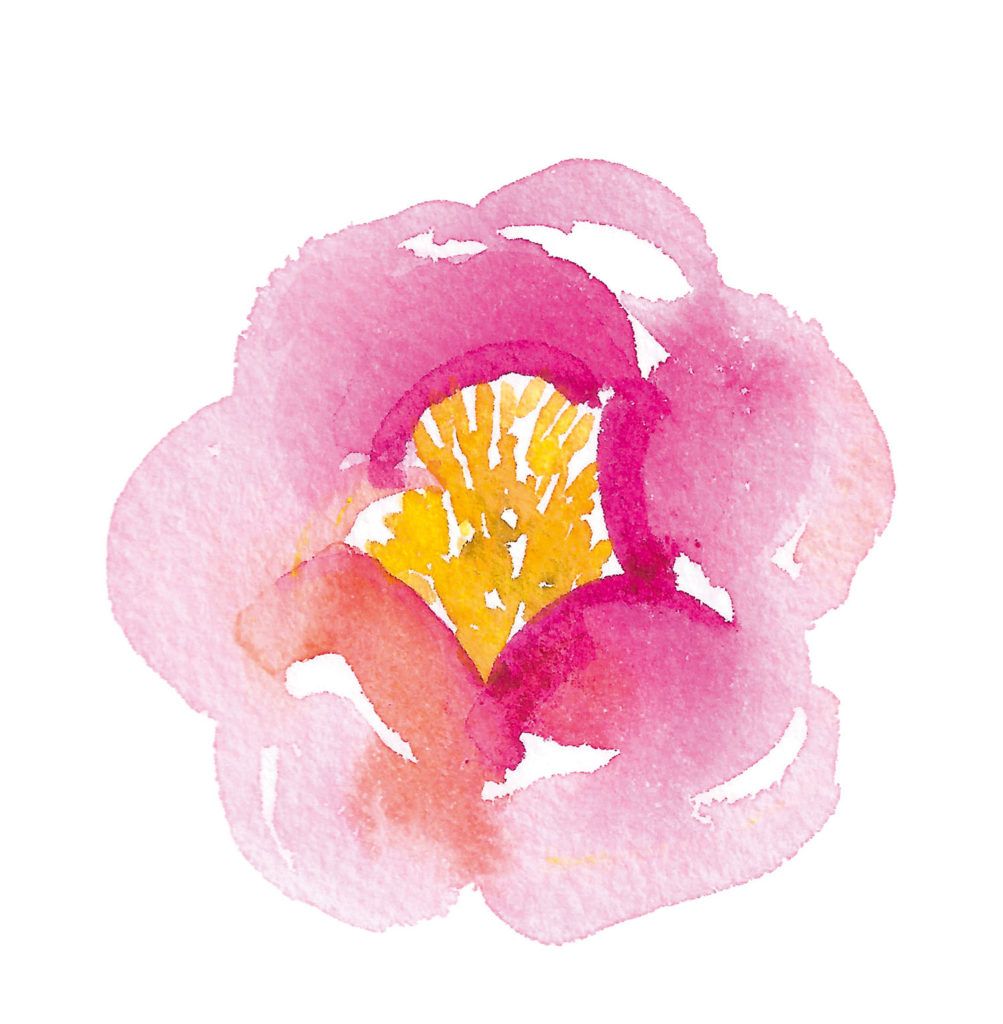 Loose Floral Abstract Watercolors