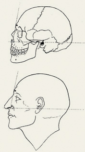 Learn how to draw a nose and other facial features in this free guide.