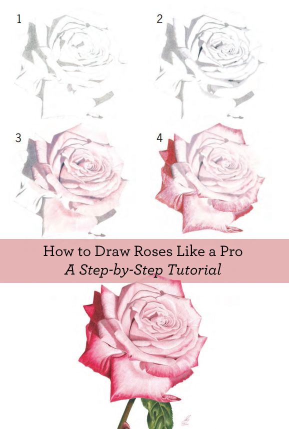 Learn how to draw a rose with these FREE step-by-step instructions!