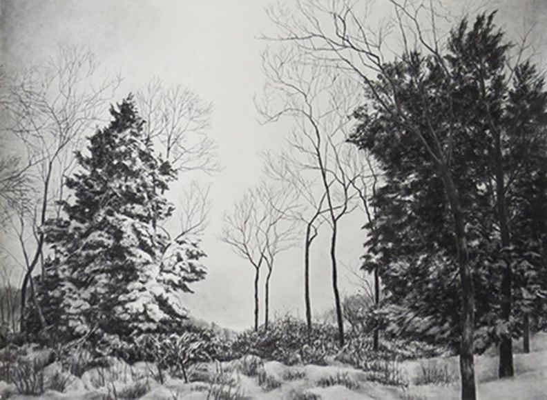 Paintings and Drawings by Manju Panchal Charcoal drawing of a landscape  from West Sikkim