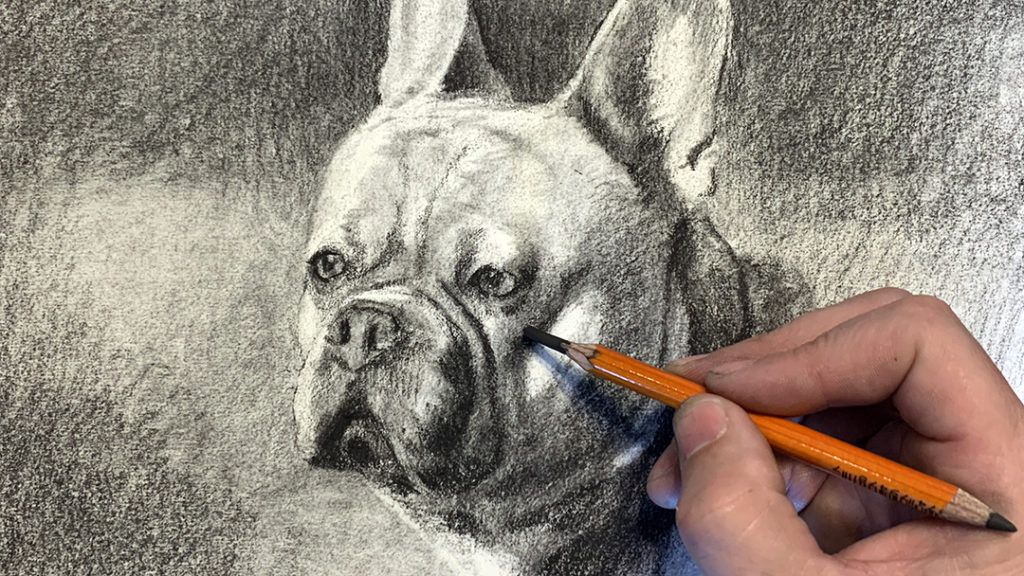 Pet Projects : Paint a Dog Portrait in Watercolor