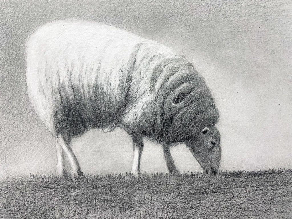 Sheep from a splash of watercolor, colored drawing, realistic. Vector  illustration of paints 2955480 Vector Art at Vecteezy