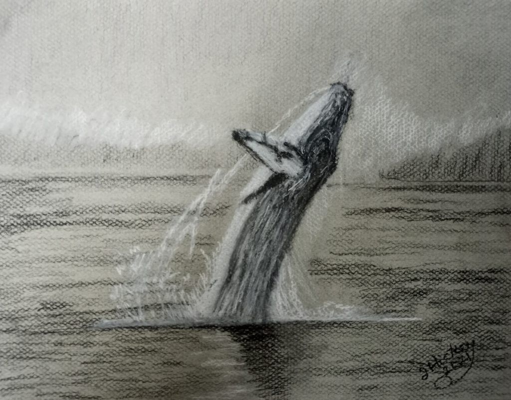 Drawing Together Episode 82: Whale | Artists Network