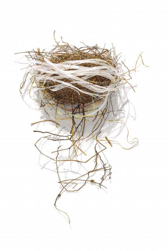 https://s32625.pcdn.co/wp-content/uploads/2021/03/Bird-Nest-Series-No.-9-2014-colored-pencil-20x14-by-David-Morrison-e1616302925974-686x1024.jpg.optimal.jpg