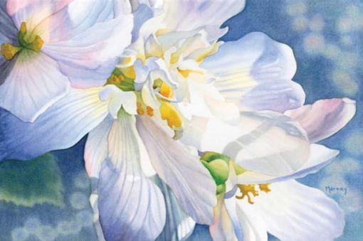 Paint Watercolor Flowers With Light and Depth: A Demo | Artists Network