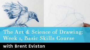 ARN-Video Covers--The Art & Science of Drawing_ Week 1, Basic Skills Course