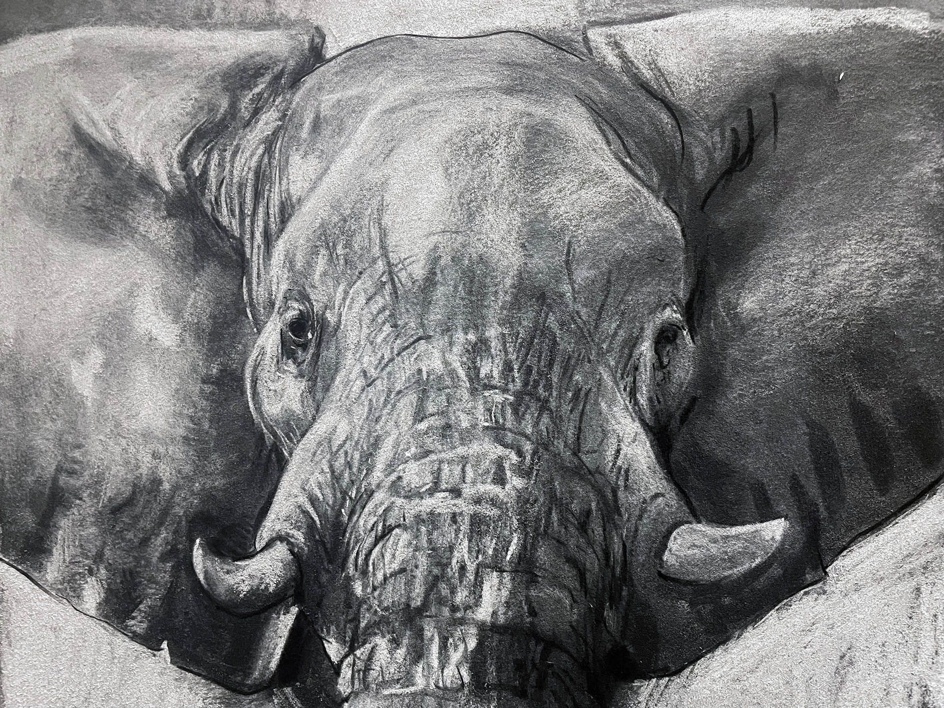 Indian Traditional Drawings and Paintings - Elephant Tradational Drawings...!!!  www.woodencarvings.in | Facebook
