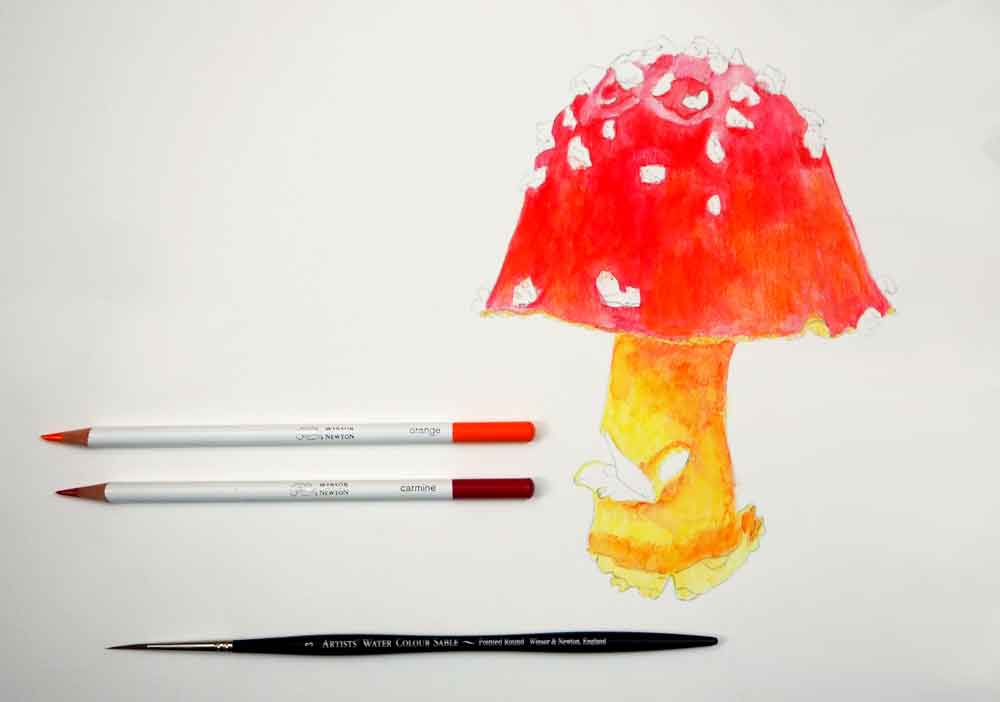 Watercolor Pencils: The Best of Both Worlds | Artists Network