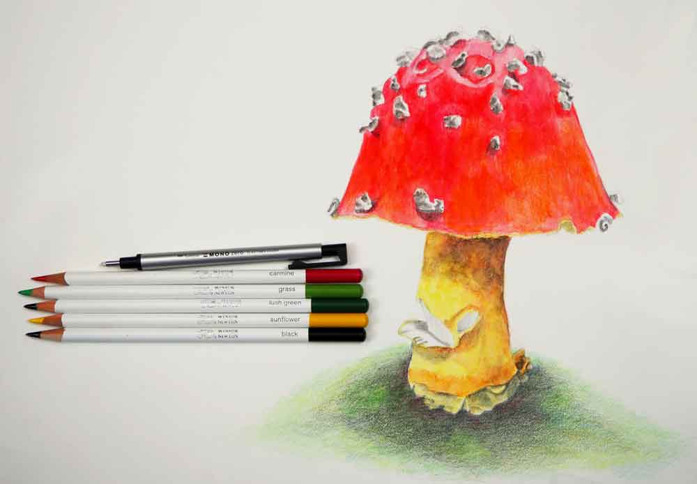 Watercolor Pencils: The Best of Both Worlds | Artists Network