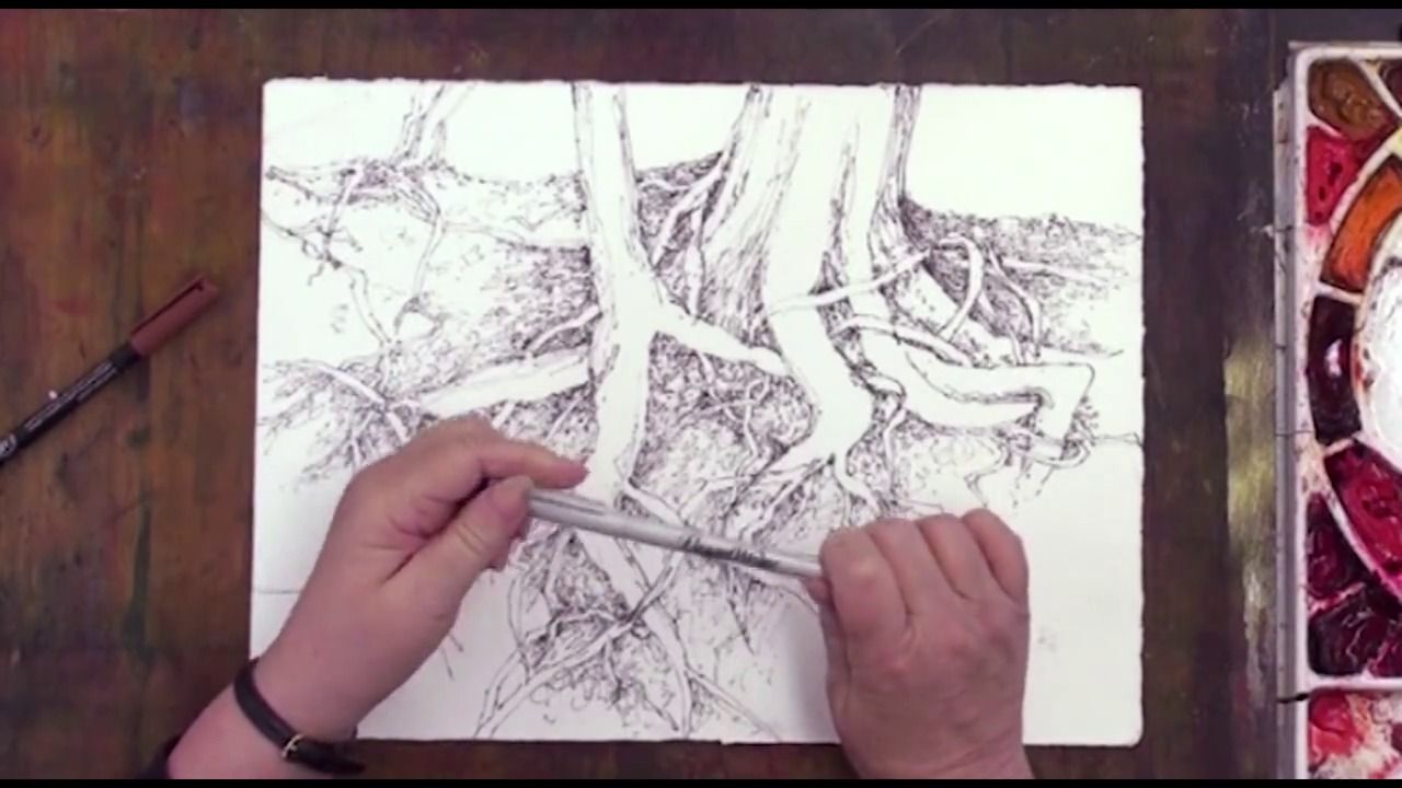 Pen and ink and Watercolor Exploration with Ann Thomas 10/1 |  CedarburgCulturalCtr