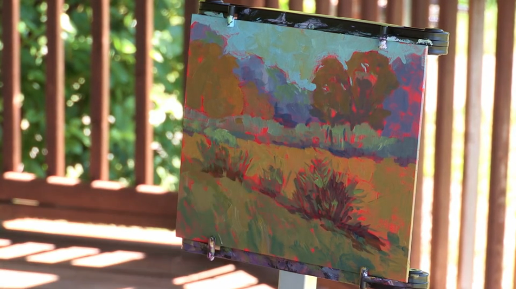 Mark Mehaffey: Paint Acrylic Landscapes - Creative Color in Plein Air 