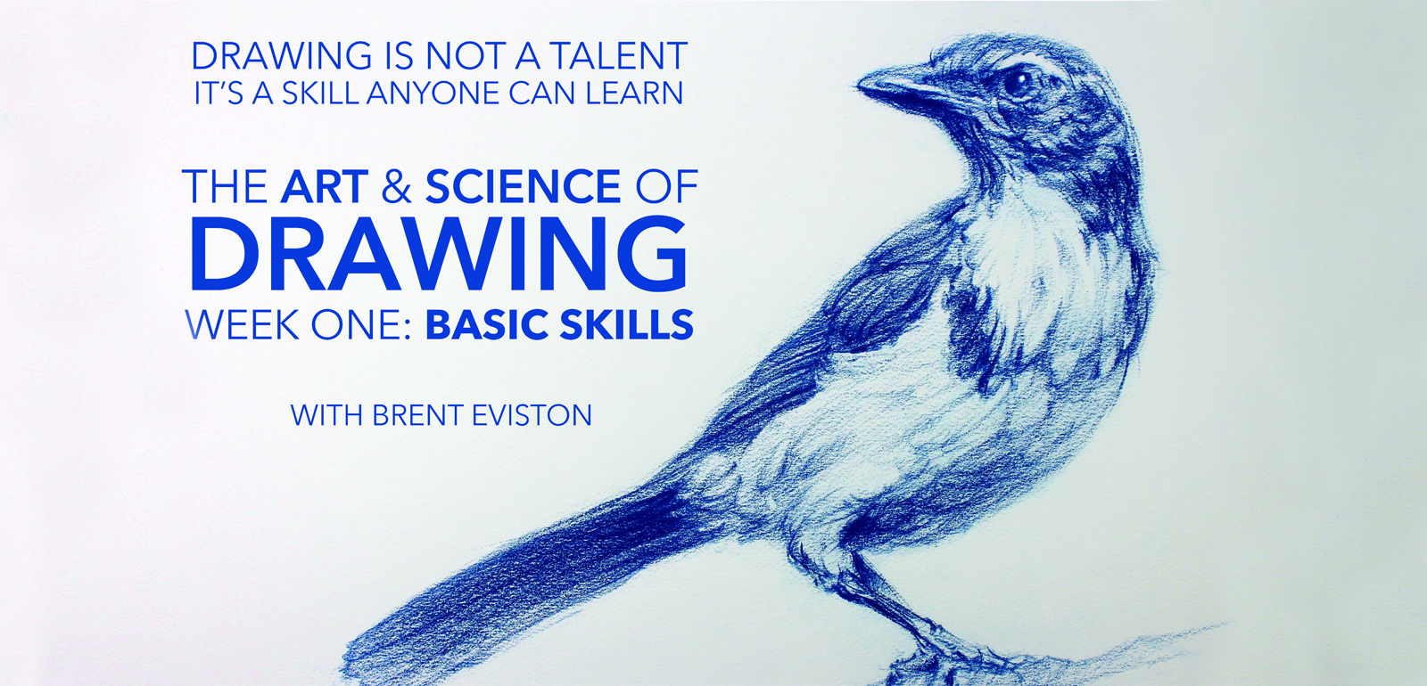 Week 1: Basic Skills | Art & Science of Drawing