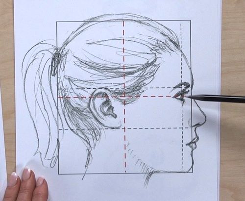 How to Draw a Face- Basic Proportions - YouTube