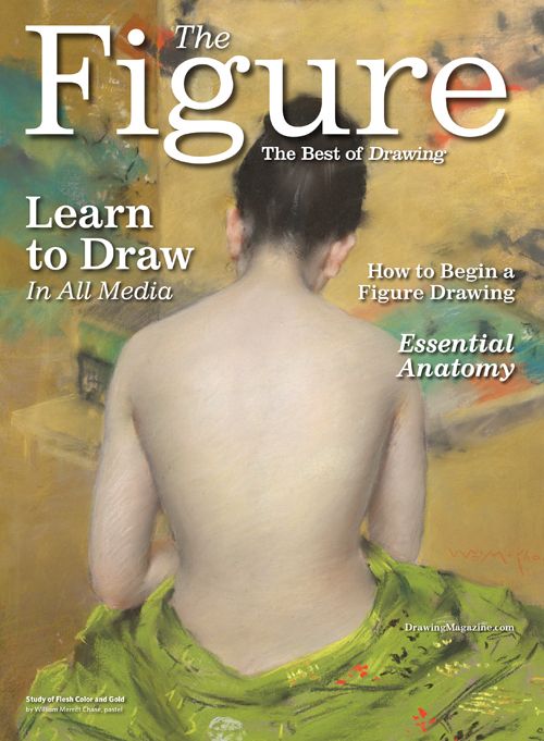 Best Sellers: The most popular items in Figure Drawing Guides