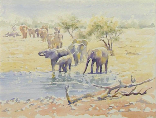 Hazel Soans African Watercolors Video Download Artists Network