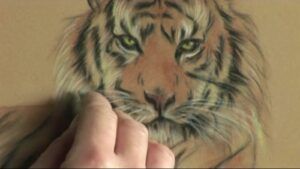 Keys to Drawing Realistic Animals with Claudia Nice Video Download