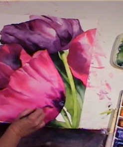 Watercolor | Artists Network