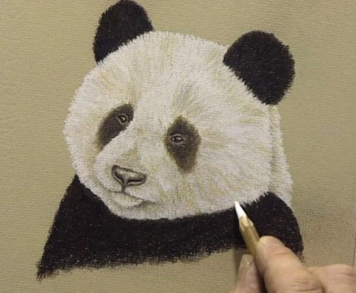 How to Draw a Panda - A Cute Panda Drawing Tutorial
