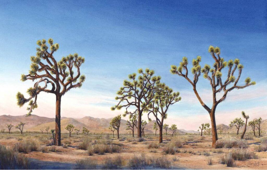 Artist residencies in U.S. national parks: Joshua Tree National Park