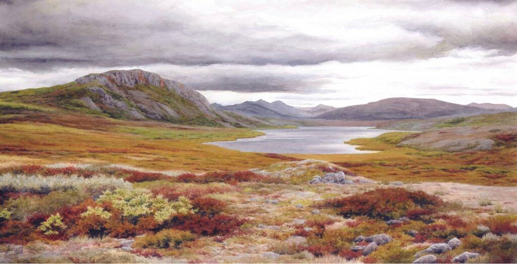 Artist residencies in U.S. national parks: Noatak National Preserve, Alaska
