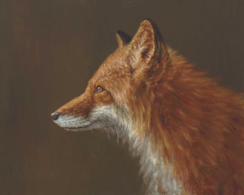 wildlife oil painting of a fox