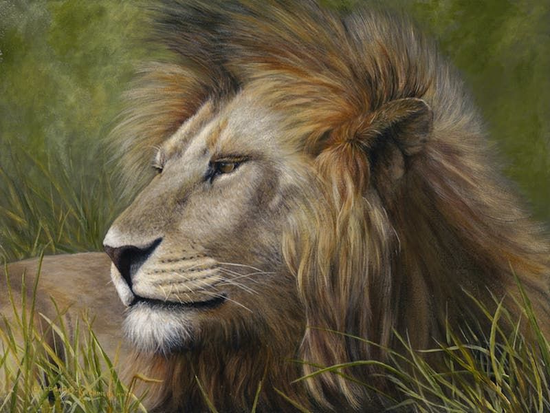 wildlife oil painting of a lion