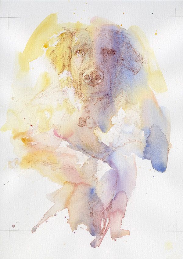 First Wash: Watercolor Pet Portrait Demo