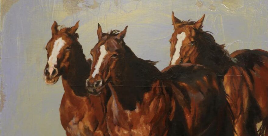Three wild horses running