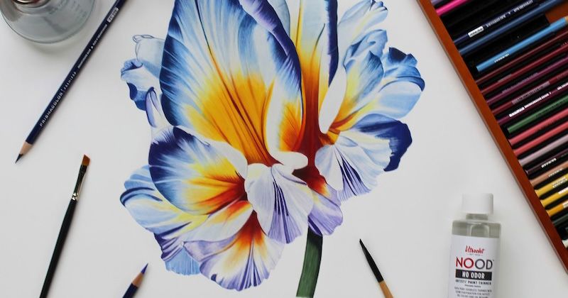 The best paper for drawing with colored pencil, graphite and pen from Lee  Hammond