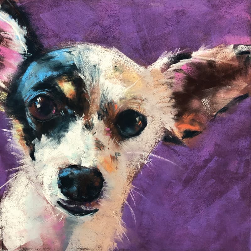 Piper (pastel on Pastelmat, 8x8) by Kelley Rudolph